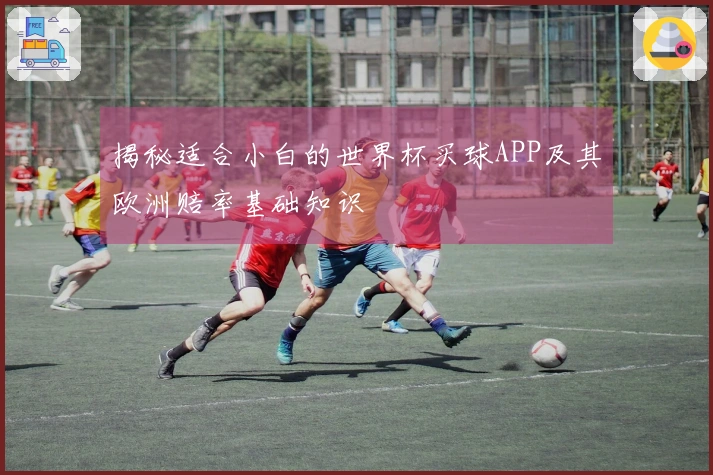 揭秘适合小白的世界杯买球APP及其欧洲赔率基础知识