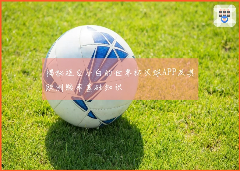 揭秘适合小白的世界杯买球APP及其欧洲赔率基础知识