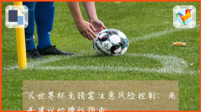 买世界杯竞猜需注意风险控制：老手建议的操作指南
