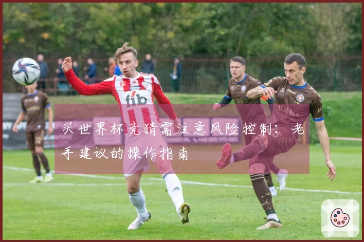 买世界杯竞猜需注意风险控制:老手建议的操作指南